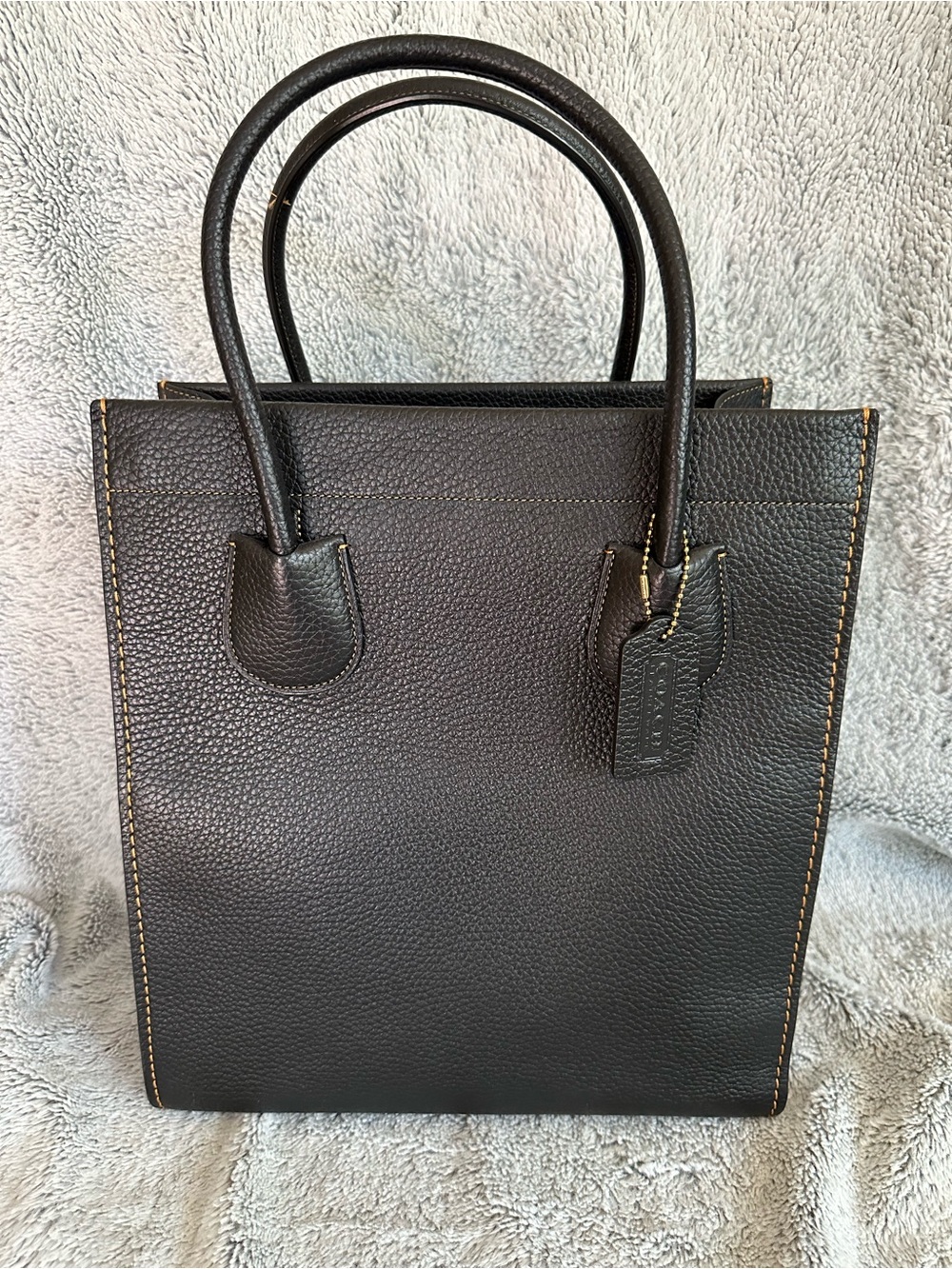 Coach Cashin Carry Tote 29 - Limited Edition